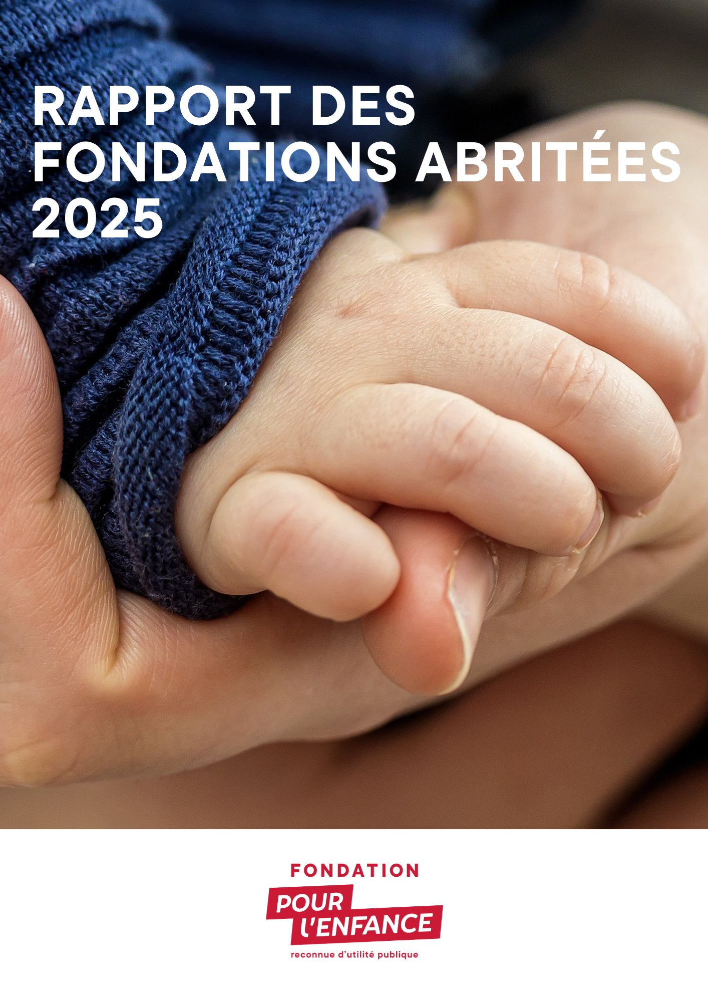 Rapport d'activité fondations abritées